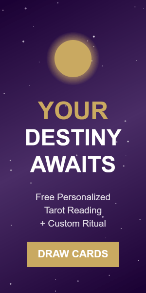 What is  Spellsology